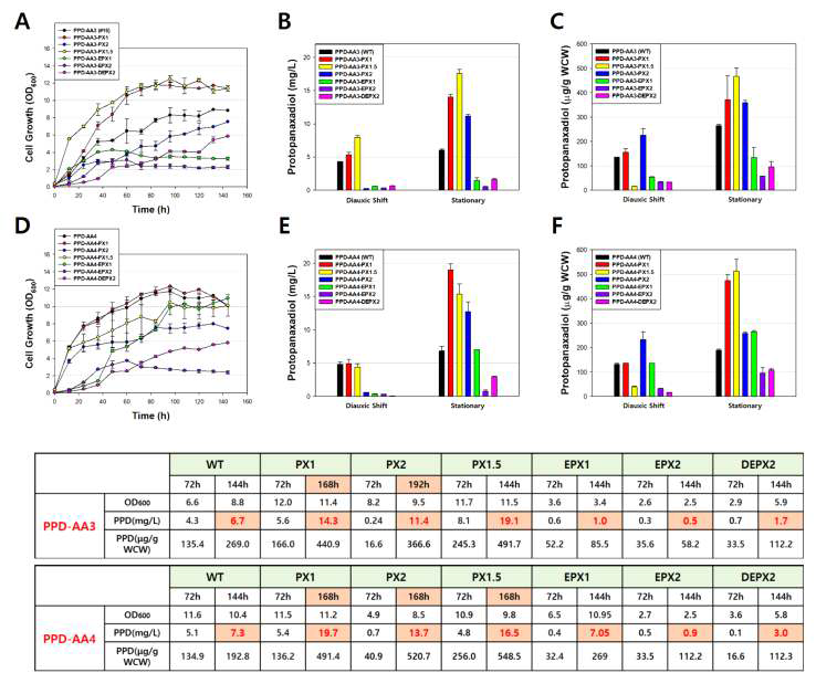 SD media에서 Peroxisome 조절에 따른 효모 성장 속도 변화 및 PPD 생산량. (A, D, 구축된 각 효모들의 세포성장 속도 변화; B, E, 각 효모들의 volume 당 PPD 생산량; C, F, 각 효모들의 단위세포 당 PPD 생산량)