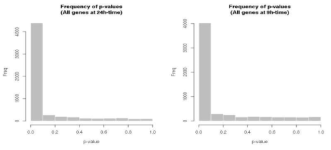 DESeq2을 이용한 9h과 24h의 유전자 발현 분석 (p-value 기준)