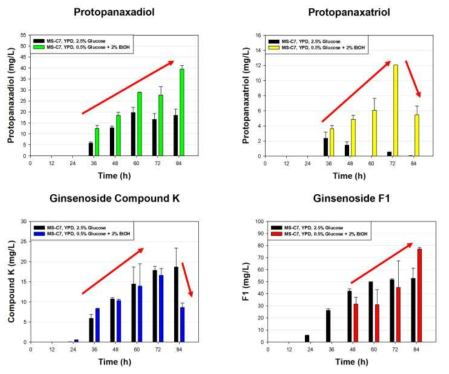 Ginsenoside F1 생산 효모 MS-C7 효모의 회분식 발효를 통한 ginsenosides 중간 대사체 및 최종 생산물 ginsenoside F1의 생산 변화