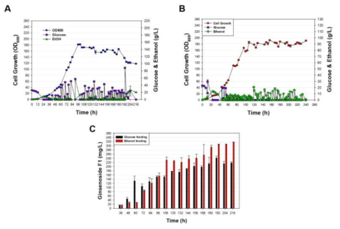 Ginsenoside F1 생산 효모 MS-C7 효모의 1차 유가식 발효를 통한 성장 속도 변화 및 ginsenoside F1 의 생산량. (A, Glucose를 이용한 유가식 발효에서 MS-C7 효모의 성장 속도 및 carbon source 소모 변화; B, Ethanol을 이용한 유가식 발효에서 MS-C7 효모의 성장 속도 및 carbon source 소모 변화; C. 유가식 발효액 추출을 통해 확인한 ginsenoside F1 생산량 변화)