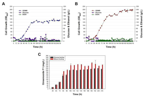 Ginsenoside F1 생산 효모 MS-C7 효모의 2차 유가식 발효를 통한 성장 속도 변화 및 ginsenoside F1 의 생산량. (A, Glucose를 이용한 유가식 발효에서 MS-C7 효모의 성장 속도 및 carbon source 소모 변화; B, Ethanol을 이용한 유가식 발효에서 MS-C7 효모의 성장 속도 및 carbon source 소모 변화; C. 유가식 발효액 추출을 통해 확인한 ginsenoside F1 생산량 변화)