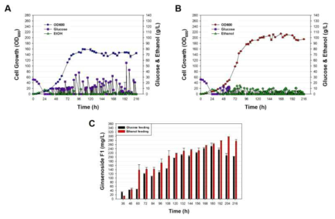 Ginsenoside F1 생산 효모 MS-C7 효모의 3차 유가식 발효를 통한 성장 속도 변화 및 ginsenoside F1 의 생산량. (A, Glucose를 이용한 유가식 발효에서 MS-C7 효모의 성장 속도 및 carbon source 소모 변화; B, Ethanol을 이용한 유가식 발효에서 MS-C7 효모의 성장 속도 및 carbon source 소모 변화; C. 유가식 발효액 추출을 통해 확인한 ginsenoside F1 생산량 변화)