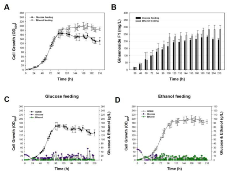 Ginsenoside F1 생산 효모 MS-C7 효모의 3번의 유가식 발효를 통한 성장 속도 변화 및 ginsenoside F1 의 생산량 평균 경향. (A, Glucose 및 ethanol을 이용한 유가식 발효에서 MS-C7 효모의 성장 속도 및 carbon source 소모 변화; B, Fed-batch 발효액 추출을 통해 확인한 ginsenoside F1 생산량 변화; C, Glucose를 이용한 유가식 발효에서 MS-C7 효모의 성장 속도 및 carbon source 소모 변화; D, Ethanol을 이용한 유가식 발효에서 MS-C7 효모의 성장 속도 및 carbon source 소모 변화)