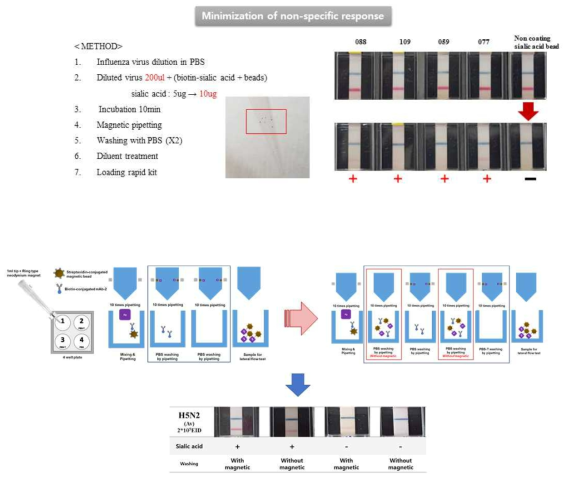 민감도 향상과 비특이 반응 최소화를 위한 방법 모식도 및 결과