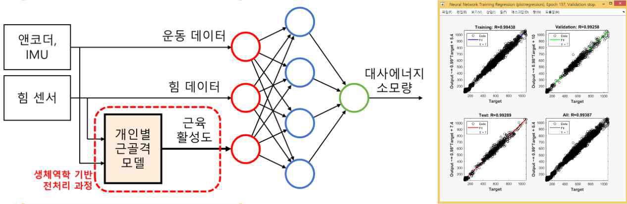 개인별 근 골격 모델을 기반한 에너지 추정 기계학습