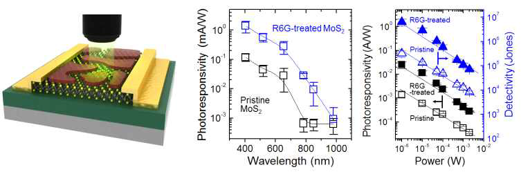 염료분자/MoS2 하이브리드 광검출 소자의 광검출 특성