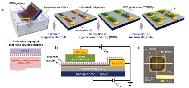 그래핀 하부 도핑을 이용한 그래핀-유기반도체 쇼트키 장벽 트랜지스터