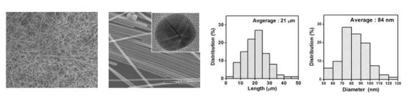 Heat-up 방식을 통하여 합성된 은 나노와이어 및 이의 길이, 두께 분포