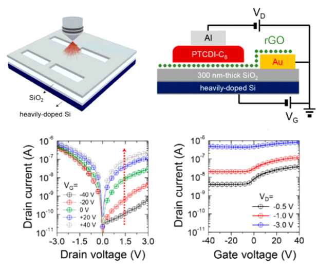 rGO/유기 반도체 이종접합 소자 제작 개략도 및 전기적 특성