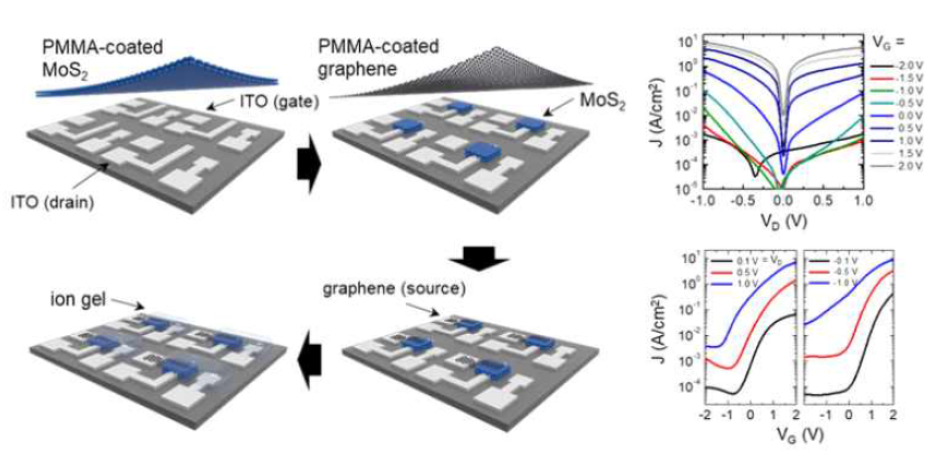 CVD-MoS2 반도체와 그래핀 이종접합 소자 제작 개략도 및 전기적 특성