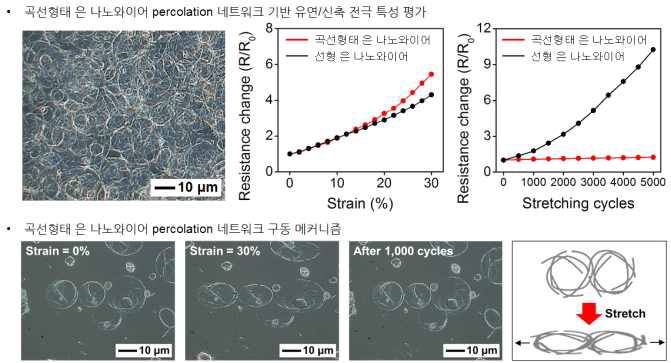 곡선 형태 은 나노와이어 percolation 네트워크 기반 유연/신축 전극