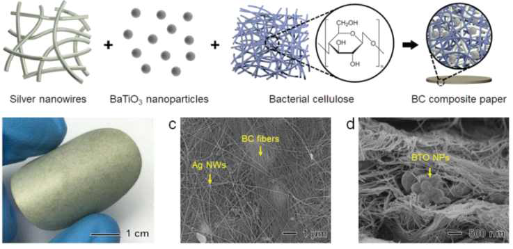 BTO:Cellulose 융복합 소재 사진 및 SEM data