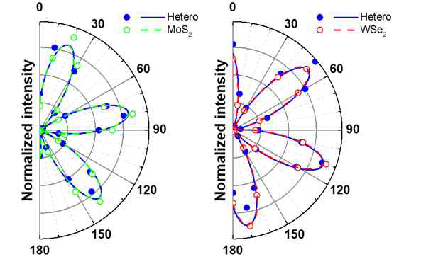 MoS2(초록), WSe2(빨강) 단일층과 두 물질의 이종접합 구조(파랑)에서의 파장에 따른 편광 SHG 측정 결과