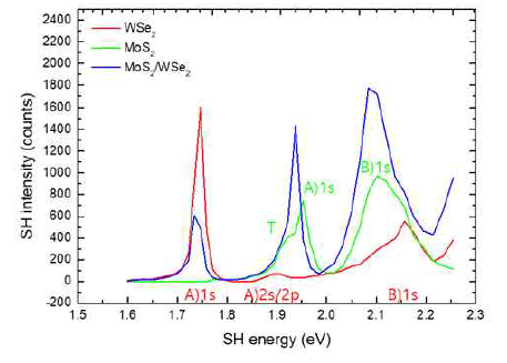MoS2, WSe2 및 두 물질의 이종접합 구조에서의 SHG 분광측정 결과
