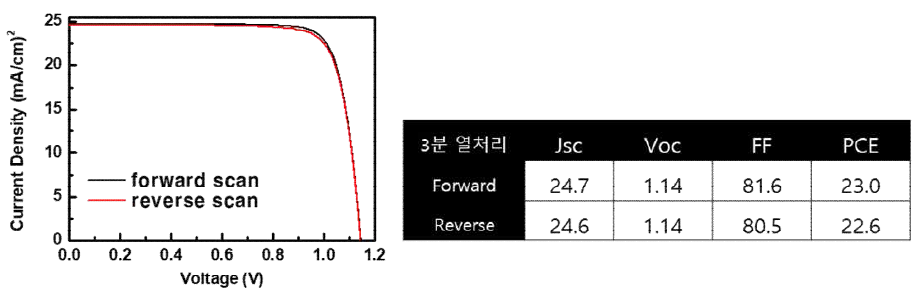 SnO2 층을 적용한 고속 공정 제작 태양전지