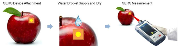 타투 타입 SERS 기판과 휴대용 Raman 장비를 이용한 잔류농약 측정 개략도