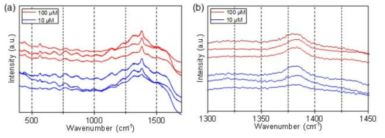 (a) 타투타입 SERS 기판을 이용해 측정한 타이람의 SERS 스펙트럼과 (b) 1381 cm-1 부근의 확대 스펙트럼