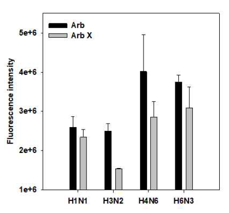 Arb-Rho123과 인플루엔자 결합 확인