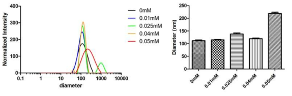 다양한 농도로 포함 된 프로브 결합 나노구조체의 입도 분포 및 평균 입자크기