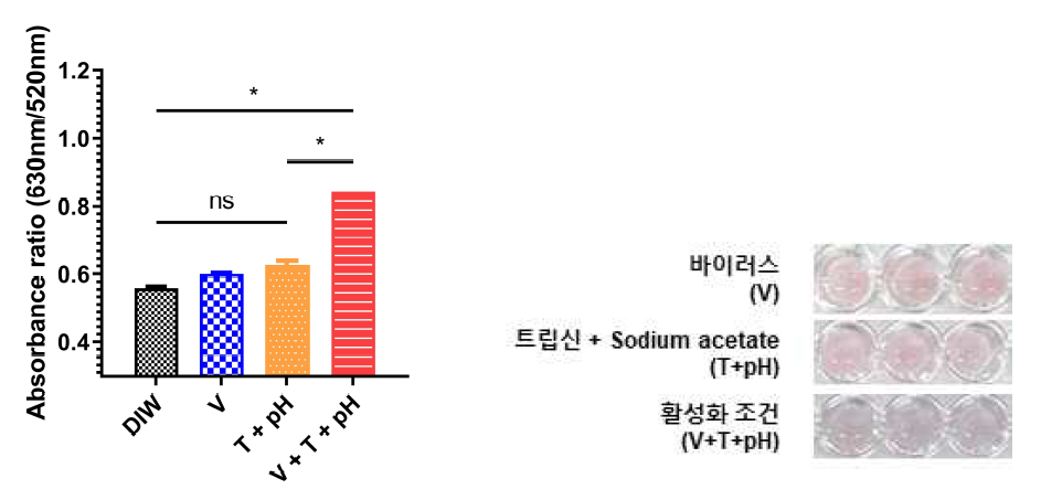 저병원성 조류인플루엔자 (H9N2) 검체에 대한 검출