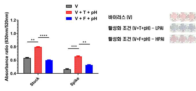 H9N2 stock 및 spike 샘플에서 인플루엔자 바이러스 검출