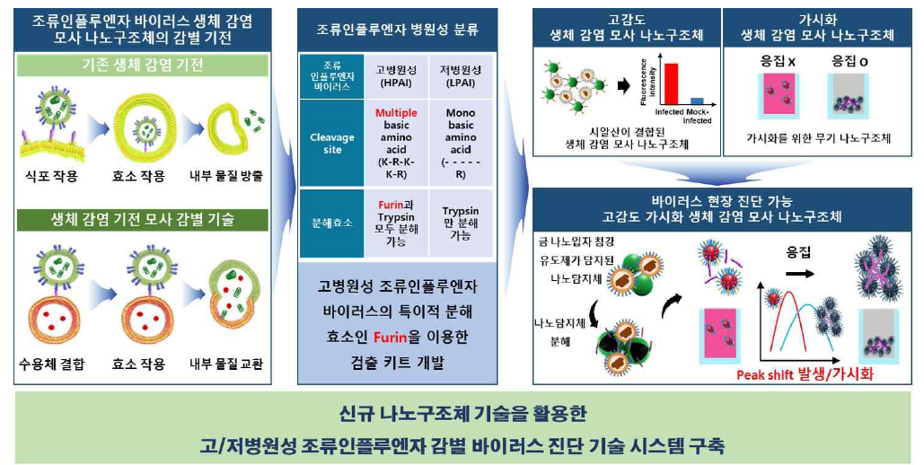 본 세부 과제의 핵심 개념도