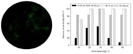 MPs by NR and CLSM(Left), Removal of dose of alum(Right)