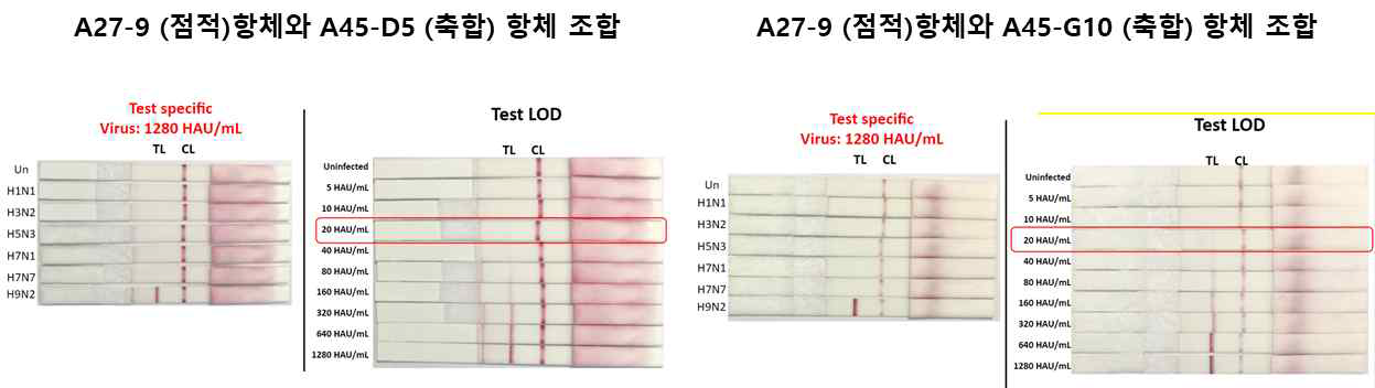 A27-9 (점적)항체와 A45-D5(축합) 혹은 A39-G10 (축합)의 검출한계는 모두 20 HAU/mL 동일함