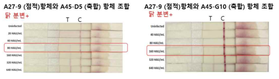 분변 존재하는 바이러스를 검출하는 데 있어서는 A27-9 (점적)항체와 A45-D5(축합)는 80 HAU/mL, A39-G10 (축합)는 160 HAU/mL 로 A27-9 (점적)항체와 A45-D5(축합) 조합이 더 우수하였음