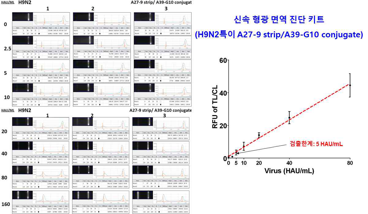 신속형광면역 진단 키트의 검출한계는 5 HAU/mL (원광대 보유한 H9N2 바이러스)
