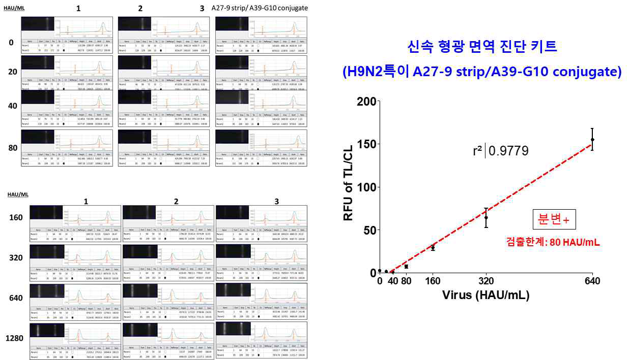 신속형광면역 진단 키트의 검출한계는 80 HAU/mL (원광대 보유한 H9N2 바이러스)