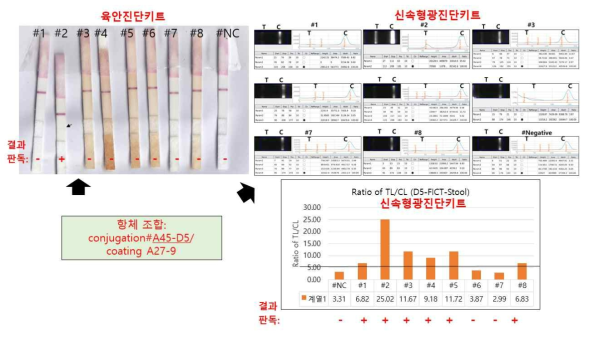 conjugation#A45-D5/coating A27-9 조합의 육안 진단키트는 감염후 2일 후 분변에서 단 1개만 양성이었고, 신속형광진단키트는 8개중에서 단 6개가 양성이었음