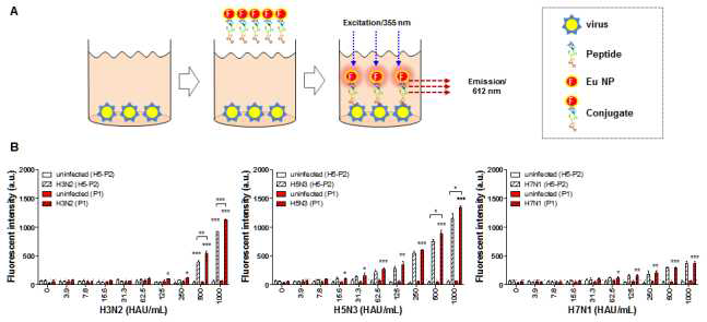 펩타이드를 fluorescent probe를 이용하여 96 well plate에 바이러스를 coating한뒤 바이러스 반응성을 측정하였음