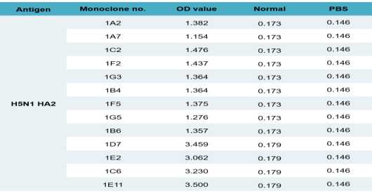 Monoclonal antibodies for H5N1 HA2 specific antigen