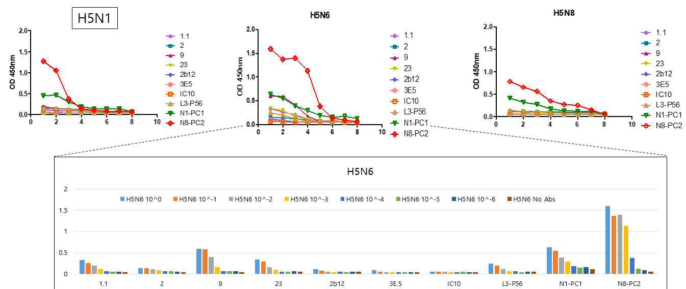 각 H5후보 항체에 대한 고병원성 H5N6, H6N8 live 바이러스에 대해 반응시킨 결과, 바이러스에 반응하는 것이 확인되었음