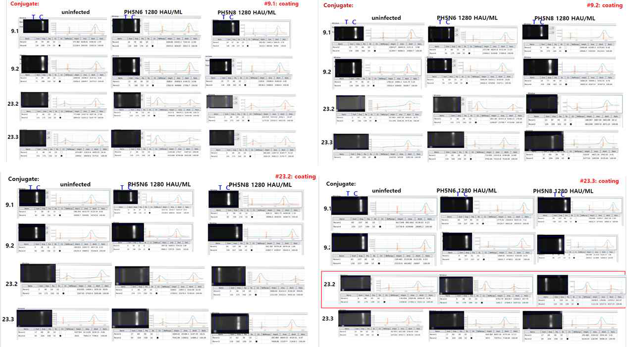 미세 유체 측방유동법에 의한 nitrocellulose membrane을 근간으로 신속 형광면역진단키트를 개발하였음