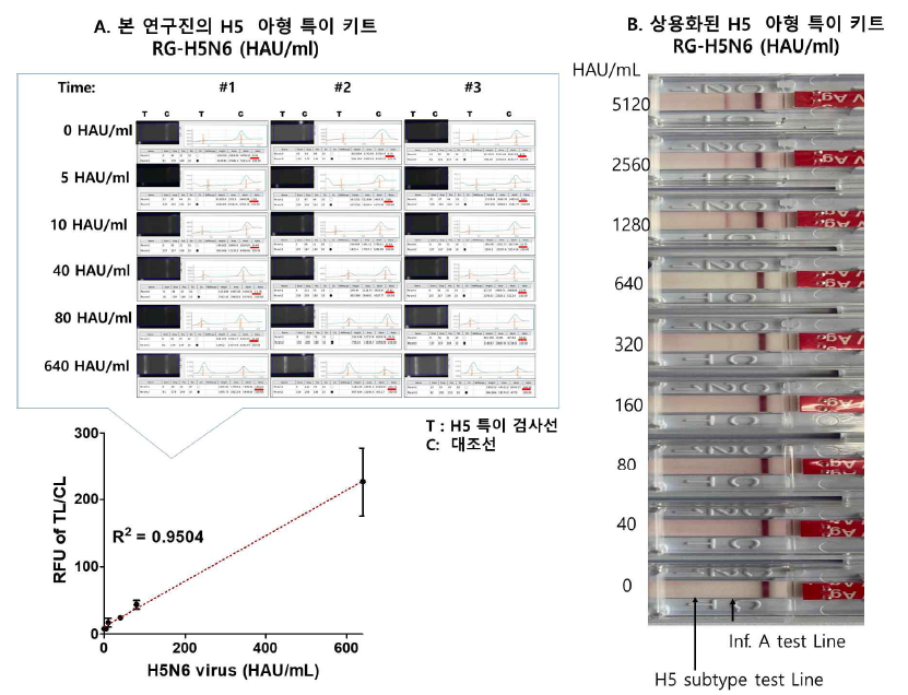 H5N6에 대한 #23.2 와 #23.3 의 형광 키트의 검출 한계