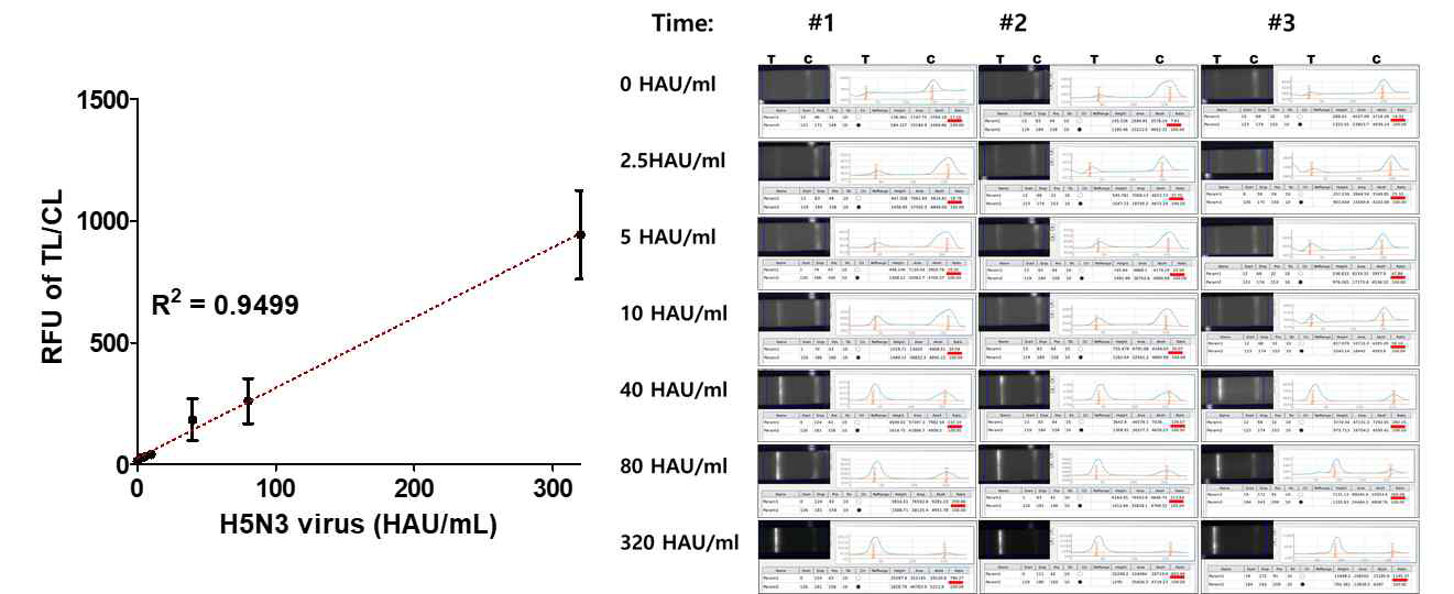 H5N3에 대한 #23.2 와 #23.3 의 형광 키트의 검출 한계 (80 HAU/mL)