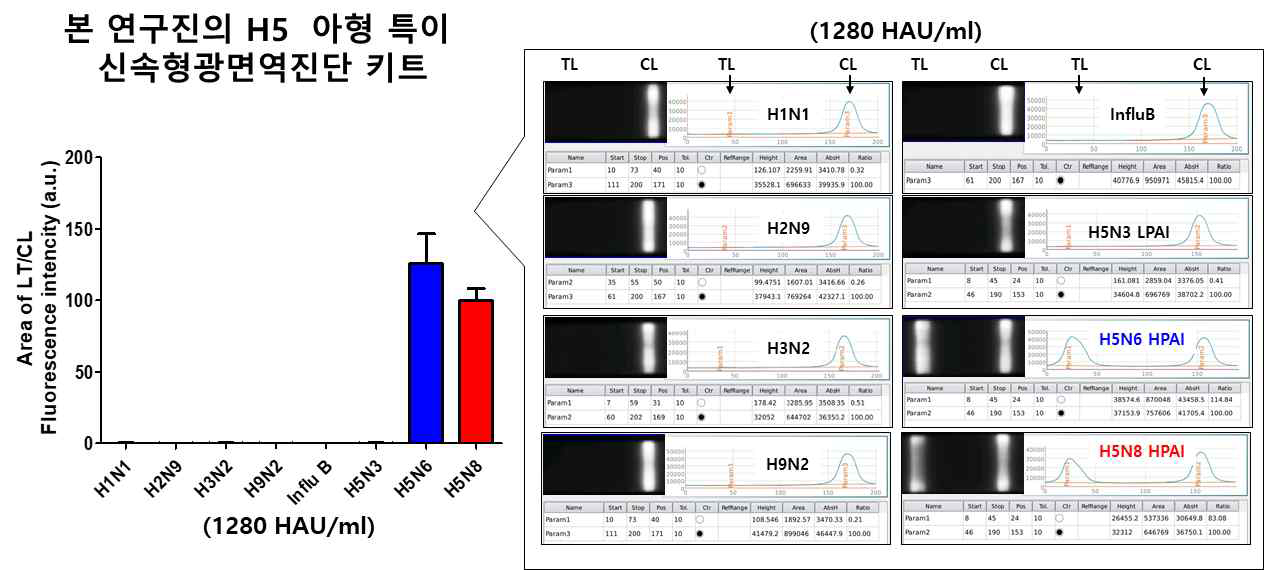 축합용 #1.1-4/점적용 #23.3의 형광 키트의 고병원성 및 저병원성 H5 분별성 및 특이성