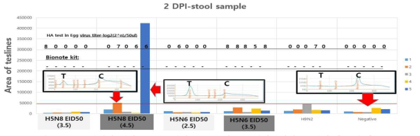분변 검체에 대한 본 연구진의 H5 특이 신속형광면역키트 (감염 후 2일 후)