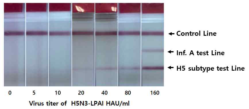 H5 특이 상용화 키트는 저병원성 H5N3에 대해서만 H5 특이 검사선의 양성임