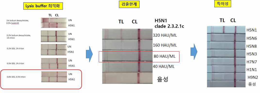 E2C1 (점적) 및 B5C1(축합)