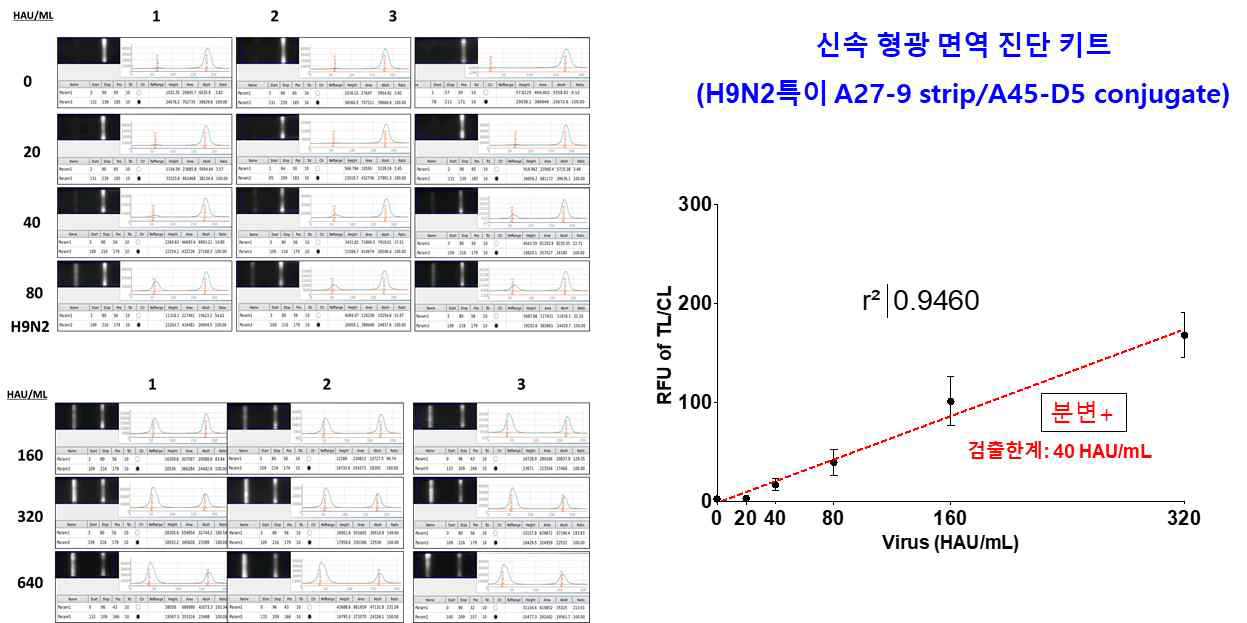 신속형광면역 진단 키트의 검출한계는 40 HAU/mL (원광대 보유한 H9N2 바이러스)