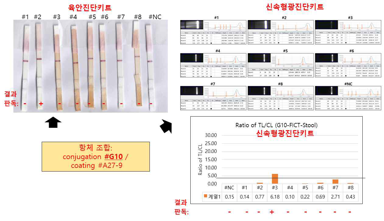 conjugation #G10 / coating #A27-9 조합의 육안 진단키트는 감염후 2일 후 분변에서 모두 음성이었고, 신속형광진단키트는 8개중에서 단 1개만 양성이었음