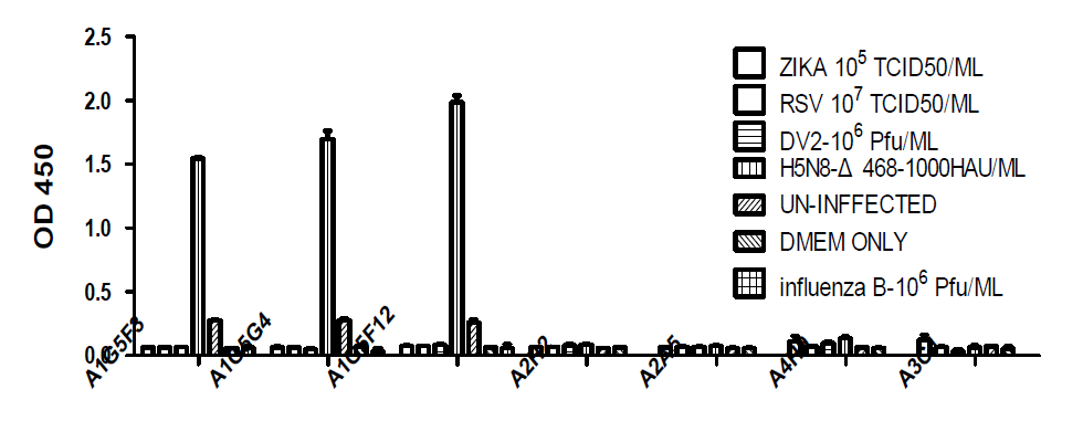 limit dilution 한 clone에 대한 다른 바이러스 반응성