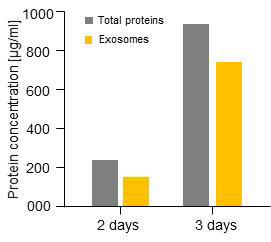 배양 시간에 따른 단일세포 유래 단백질 및 엑소좀의 분비량 변화