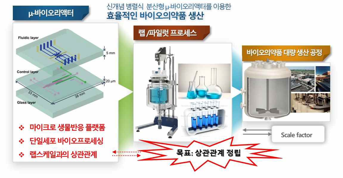 μ-바이오리액터를 이용한 바이오공정 설계의 최적화