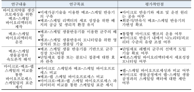 3차년도 연구목표 및 평가착안점