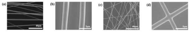 전압 인가 방식 변화에 따른 섬유 전극의 (a, b) 정렬된 SEM 이미지, (c, d) 랜덤한 SEM 이미지