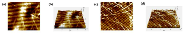 Laser Interference Lithography (LIL) 방식 변화에 따른 스트레쳐블 전극의 (a, c) 나노구체의 모양 변화 AFM 이미지, (b, d) 표면 거칠기 확인을 위한 3D 랜더링한 AMF이미지